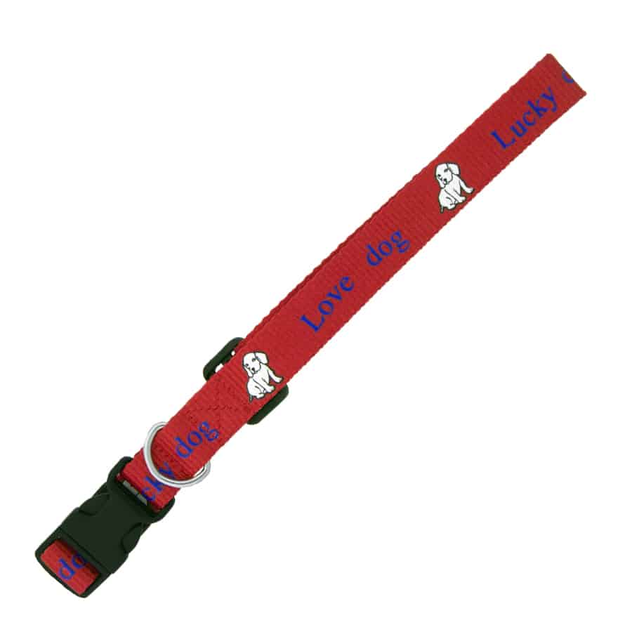 Dog Leash