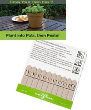 SEEDS-ON-STICKS_-_10_PACK.jpg