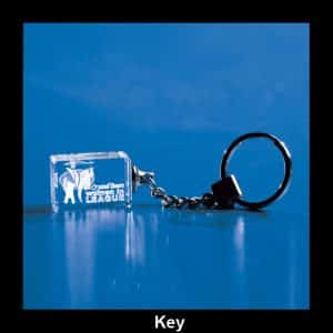 im-018_key-no-light-trophy.jpg