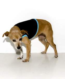 Pet Clothing