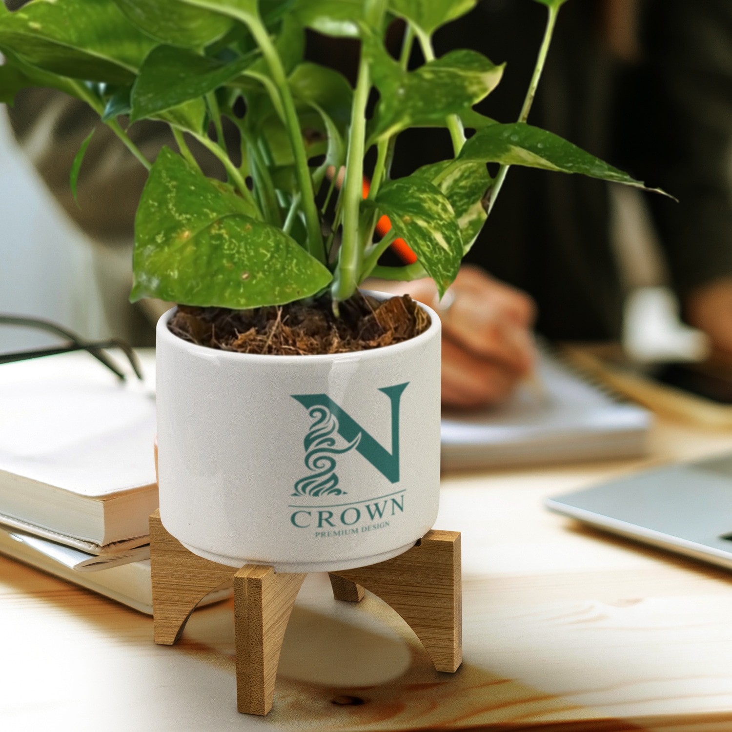 Plant Pot